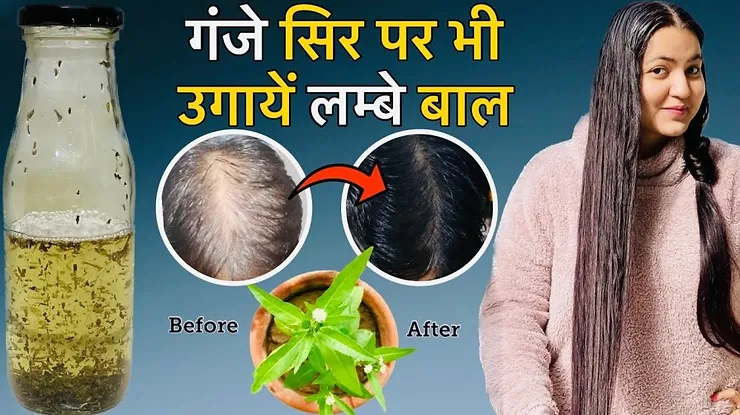 Read more about the article Easy Way To Prepare Bhringraj Oil At Home | Preity Prerna