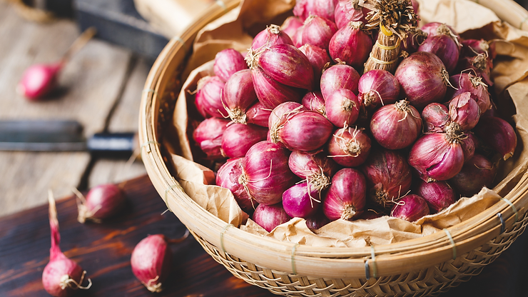 Read more about the article Onion Juice For Skin, Hair and Health: The Comprehensive Guide by Preity Prerna