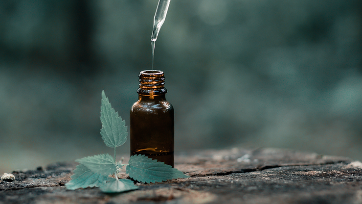 You are currently viewing Essential Oils for Skincare: The Complete Guide By Preity Prerna