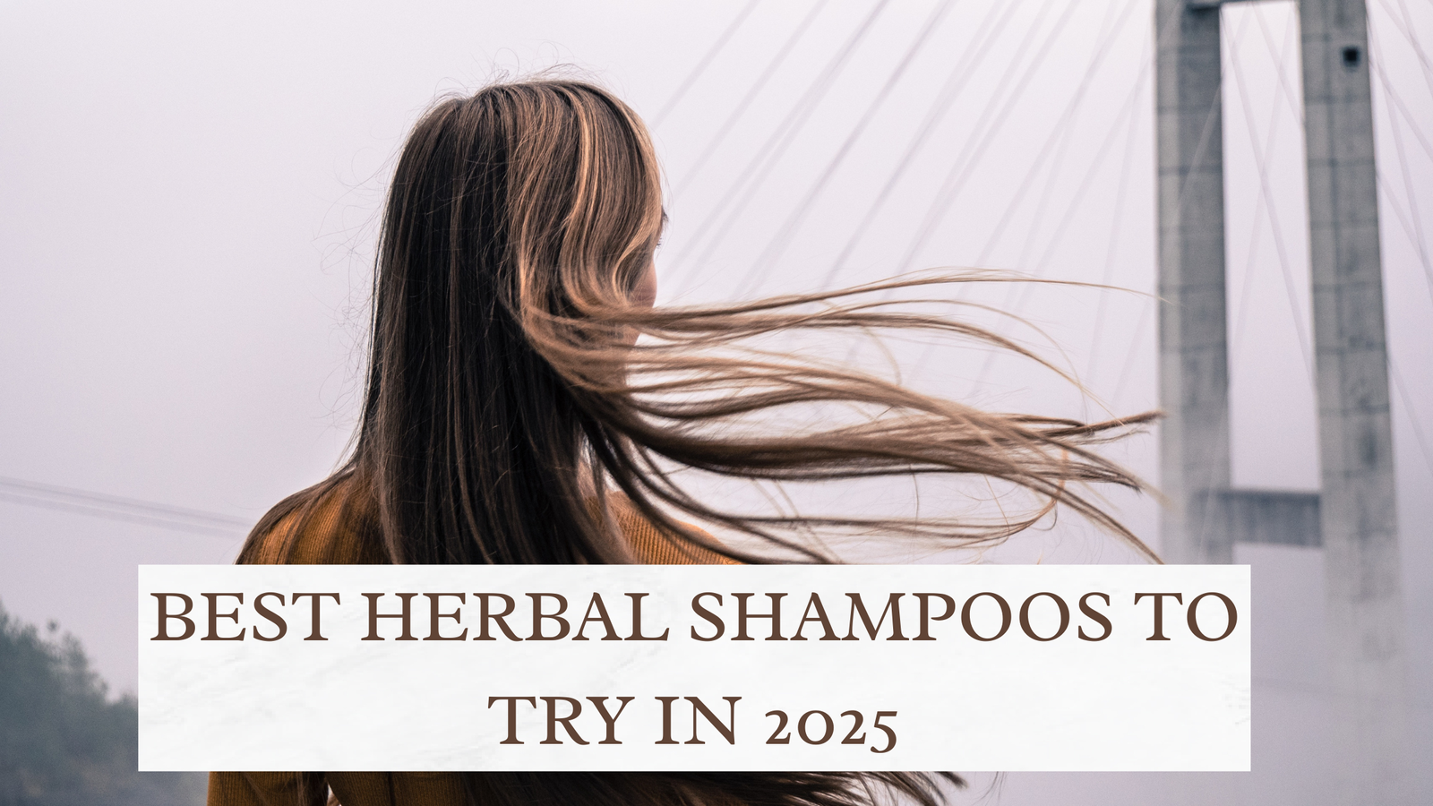 Read more about the article Top 5 Must-Try Herbal Shampoos in India | Chemical-Free Shampoos to Stop Hairfall