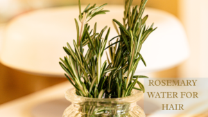 Read more about the article 6 Amazing Benefits of Rosemary Water for Hair: How to Prepare & Use it