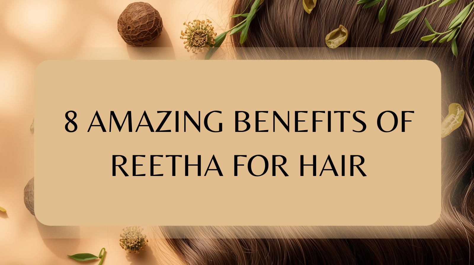 Read more about the article 8 Amazing Benefits of Reetha for Hair: Nature’s Secret to Healthy, Shiny Locks