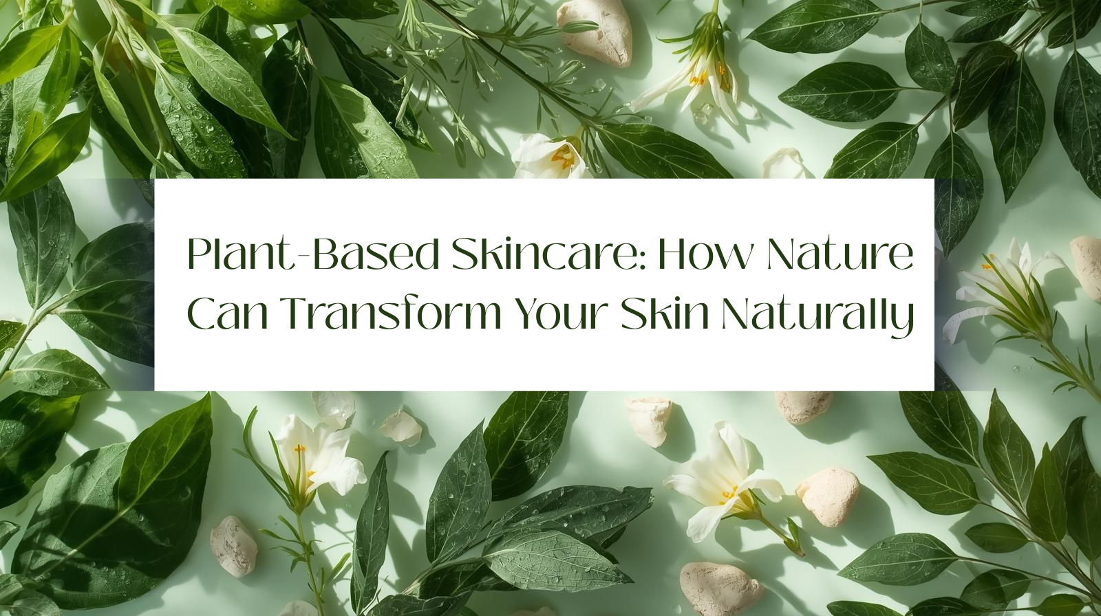 Read more about the article 5 Benefits of Plant-Based Skincare: How Nature Can Transform Your Skin Naturally