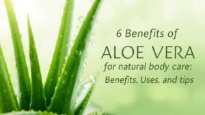 Read more about the article 6 Benefits of Aloe Vera for Natural Body Care: Benefits, Uses, and Tips